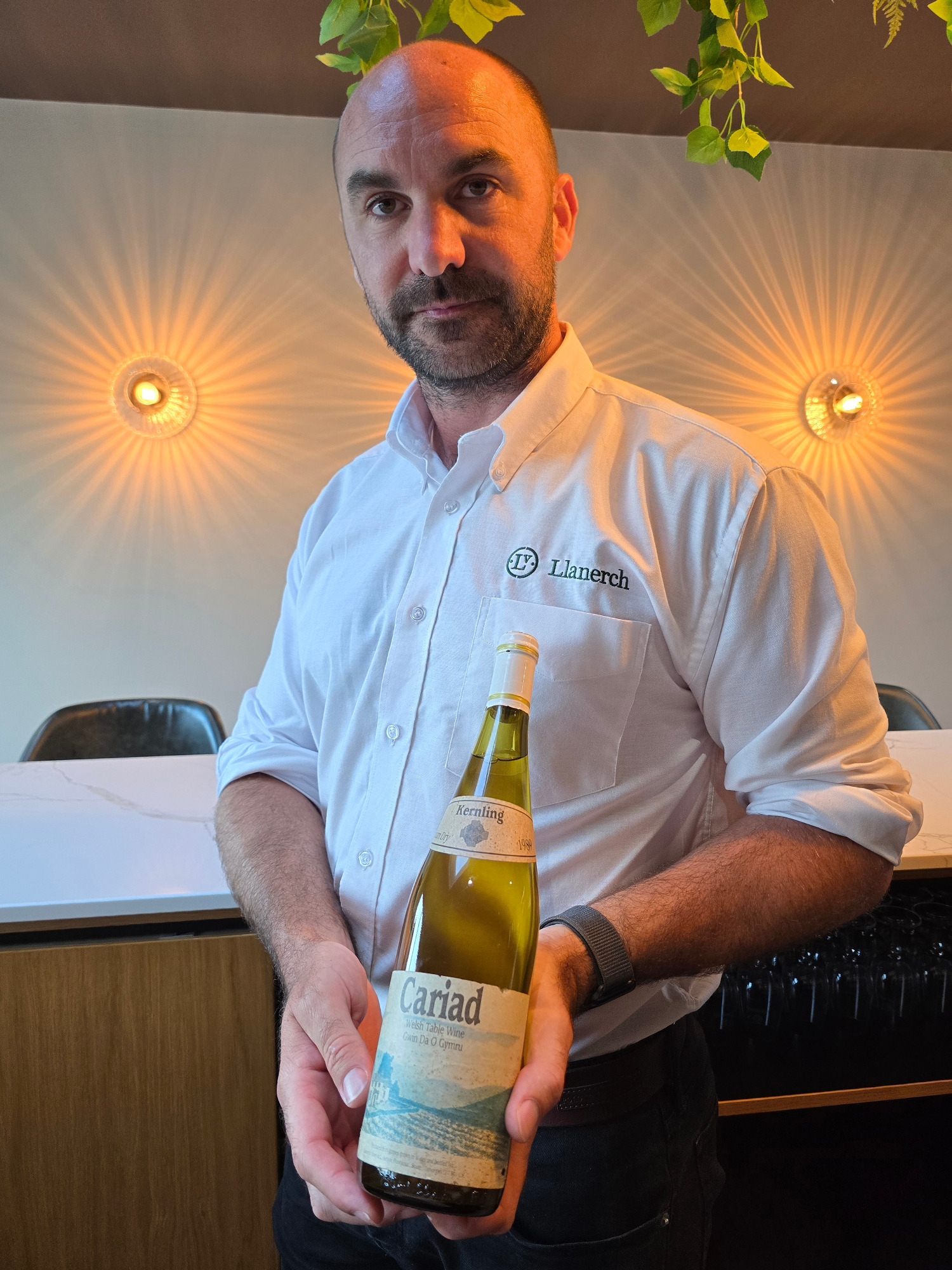 Ryan Davies of Llanerch Vineyard Ryan Davies